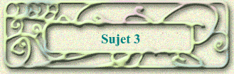 Sujet 3